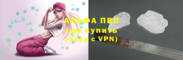 тгк Алексин