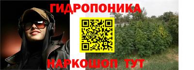 гидра Апшеронск