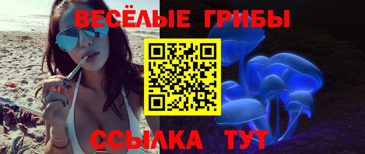 Астрахань  где купить   Псилоцибиновые грибы MAGIC MUSHROOMS  Вход с VPN  Галлюциногенные грибы Cubensis 